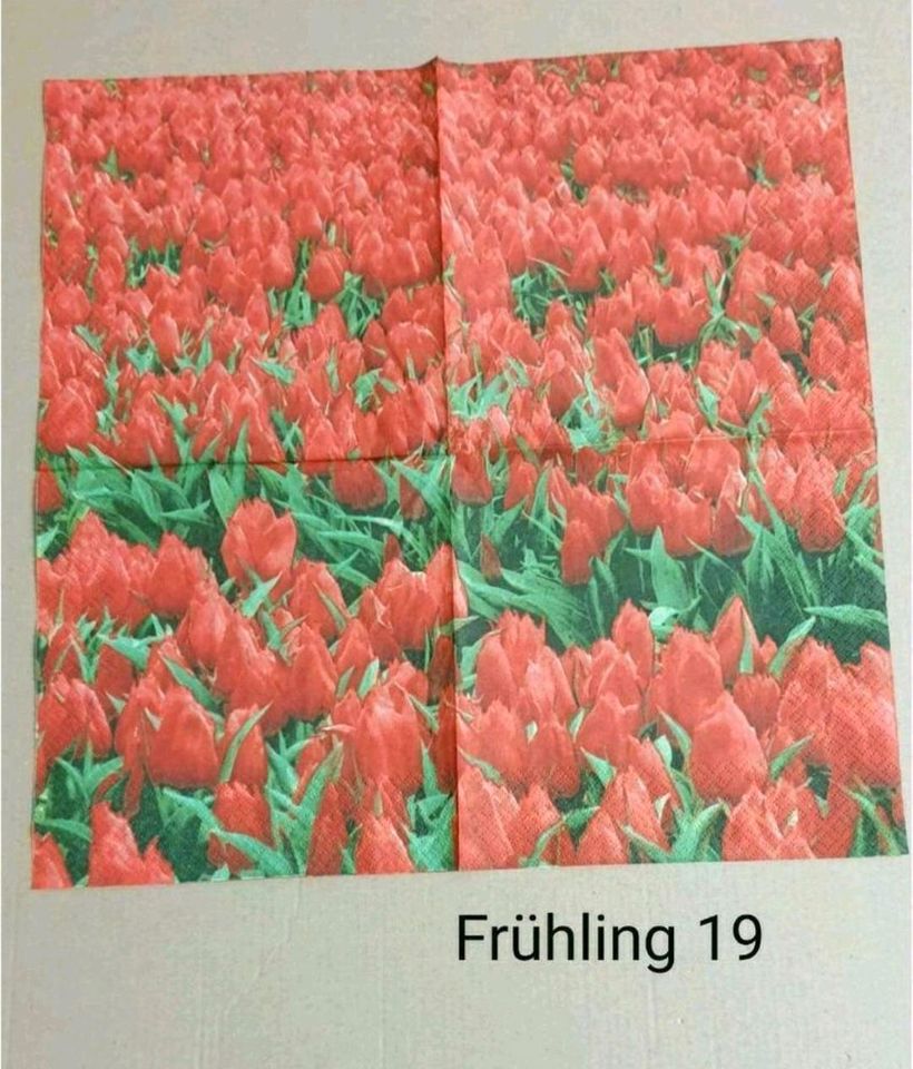 ⭕️ 0,20€ Servietten Schmetterlinge Gartenzwerg Frühling kleine in Leipzig