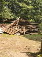 Brennholz zu verschenken Niedersachsen - Geeste Vorschau
