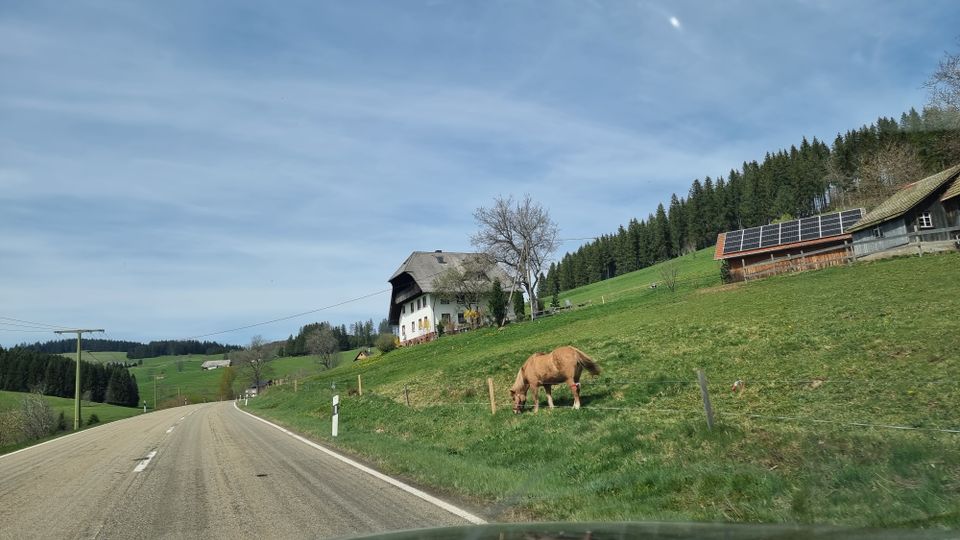 Eigentumswohnung mit Balkon Schwarzwald Ideal für Naturliebhaber in Lenzkirch