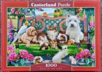 Haustiere, Pets in the Park, Hunde, 1000 Teile Castorland Puzzle Hessen - Offenbach Vorschau