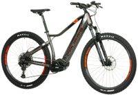 29 Zoll E-bike Elektrofahrrad MTB PAN-Largo 8.8-L Crussis 25Ah Baden-Württemberg - Laupheim Vorschau