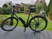 Triumph Bosch Performance E-Bike Schleswig-Holstein - Reinbek Vorschau