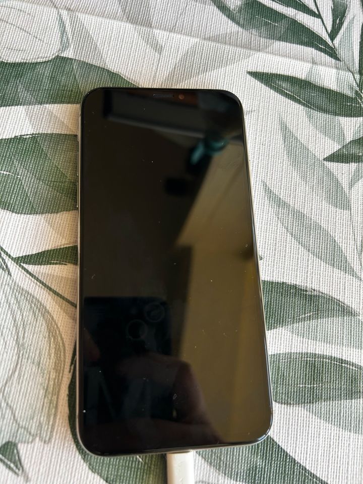 iPhone X 256 gb fast wie neu mit Ovp in Magdeburg