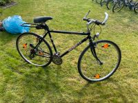 Terra Fox IFX 150 Herrenrad, Damenrad, Fahrrad,Bike, Rad, 28 Zoll Berlin - Neukölln Vorschau