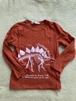 Shirt Dino von H&M Größe 110-116 Ludwigslust - Landkreis - Wittenburg Vorschau