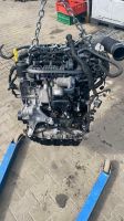 MOTOR CJX CJXA CJXB CJXC CJXG  2.0TFSI 300PS 360PS Nordrhein-Westfalen - Schloß Holte-Stukenbrock Vorschau