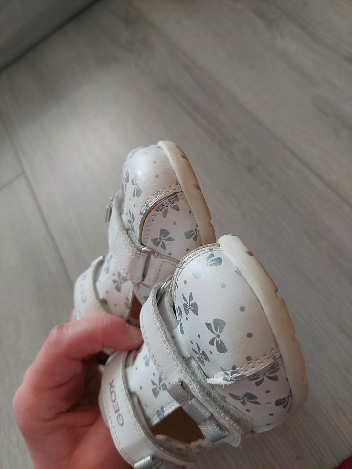 Geox Schuhe Ballerinas Sandalen Größe 24 wie Neu in Traitsching