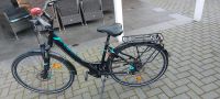 Fahrrad Pegasus zu verkaufen Niedersachsen - Nordhorn Vorschau