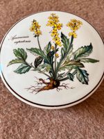 Porzellandose mit Deckel Villeroy & Boch, Botanica Bonboniere München - Berg-am-Laim Vorschau