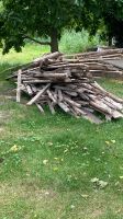 Brennholz für Feuerschale Sachsen-Anhalt - Erxleben (bei Haldensleben) Vorschau