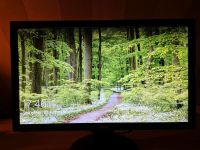 Monitor 24 Zoll DVi / VGA kaum gebraucht Baden-Württemberg - Schwörstadt Vorschau