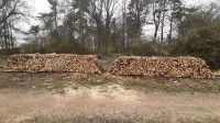 Brennholz Fichte gespalten Baden-Württemberg - Trochtelfingen Vorschau