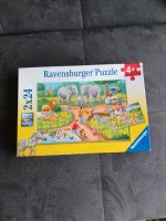 Ravensburger Puzzle ab 4  2x24 Teile  Zoo Essen - Altenessen Vorschau
