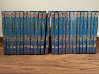 Pokémon DVDs Anime 1. 2. Staffel Hachette 1 - 29 Pokémon Deutsch Niedersachsen - Twistringen Vorschau