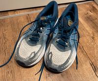 Asics Nimbus Gr. 46,5 Berlin - Lichtenberg Vorschau