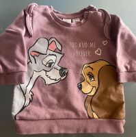 Süßes Disney Set Sweatshirt Sweathose H&M 74 Nordrhein-Westfalen - Remscheid Vorschau