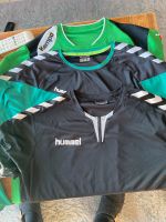 Handball Trikot Herren Brandenburg - Werder (Havel) Vorschau