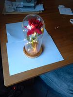 Leuchtlampe mit Rose Nordrhein-Westfalen - Wenden Vorschau