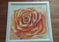 Wandbild in orange/creme mit Holzrahmen Rose Niedersachsen - Elsfleth Vorschau