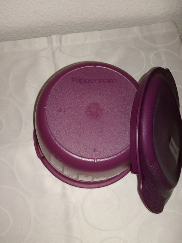 Tupperware Micro Pasta Maker Round in Wuppertal