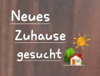 Gutverdienendes Pärchen sucht Haus zur Miete Brandenburg - Oranienburg Vorschau