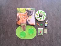 Katzen / Kitten Zubehör Set : Spielzeuge, Näpfe, Kissen Berlin - Tempelhof Vorschau