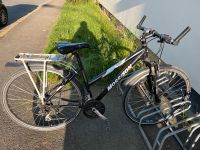 Damenfahrrad 28 Zoll Bayern - Weiden (Oberpfalz) Vorschau