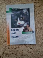 Leben mit katzen Niedersachsen - Rüdershausen Vorschau