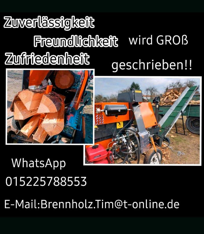 Brennholz Kaminholz Scheitholz Feuerholz in Guben