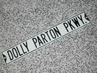 Blechschild Straßenschild Dolly Parton PKWY. weiß / schwarz Hamburg-Nord - Hamburg Barmbek Vorschau
