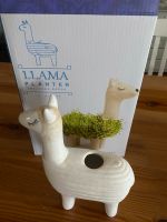 Llama Planter Lama Bayern - Alzenau Vorschau