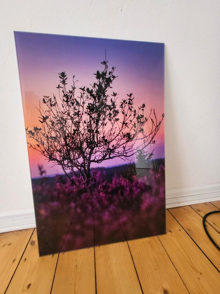 Wandbild Einzelstück Unikat aus der Heide , Heideblüte in Hannover