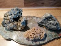 Sandrose Mineralien Edelsteine Nordrhein-Westfalen - Herten Vorschau