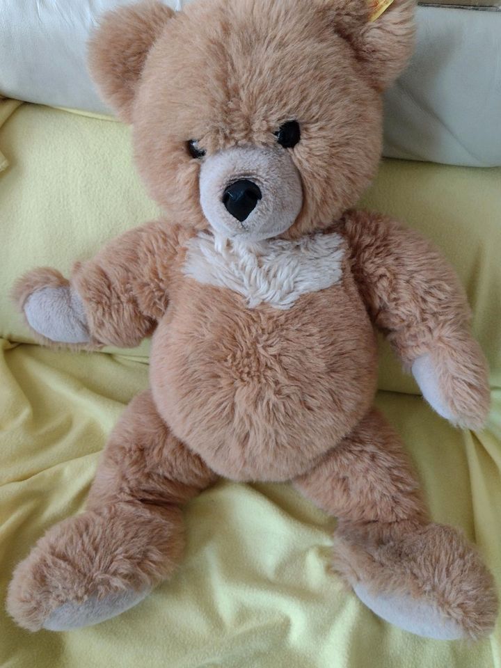 Steiff Teddy ca. 60cm Rarität in Eberswalde