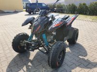 Quad ATV Access 300SX Preisgesenkt! Saisonende** Sachsen - Naunhof Vorschau