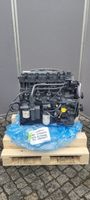 Deutz Austauschmotor TD2011L04W, Weidemann Lader - Bruttopreis- Dresden - Blasewitz Vorschau