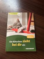 Kitten Ratgeber Fressnapf Bayern - Gunzenhausen Vorschau