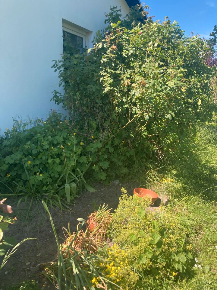 Unterstützung bei Gartenpflege in Oranienburg