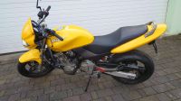 Honda Hornet CB 600 PC34 Sachsen - Riesa Vorschau