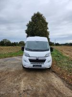 Sun Living V60 SP Family X-TRA BlueHDi 140 PS, Chassis: Citroen J Niedersachsen - Bassum Vorschau