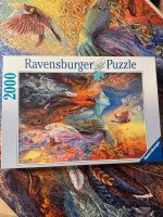 Ravensburger Puzzle 2000 Teile Spirit of Flight Art Puzzle Bayern - Kaufering Vorschau