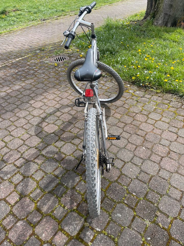 Fahrrad 26 Zoll-Fischer Shinamo 21 Gang in Offenbach