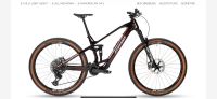 Stevens E-MAVERICK AM 9.4.3 E Bike NEU TQ 2024 sehr leicht Rheinland-Pfalz - Kaiserslautern Vorschau