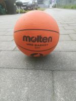 Basketball Bayern - Amberg Vorschau