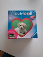 Ravensburger Puzzleball Labrador golden Retriever Bayern - Buchloe Vorschau