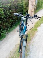 E-Bike zu verkaufen Brandenburg - Felixsee Vorschau