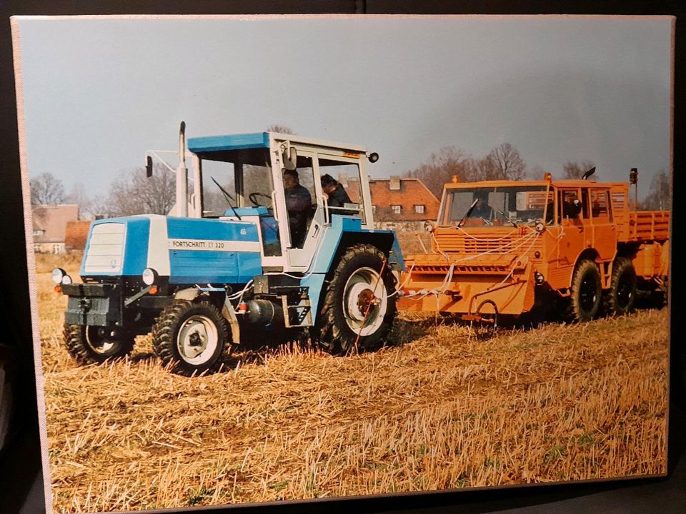 Wandbild Bild Traktor Fortschritt ZT320, ca. 30x40  cm in Pulsnitz