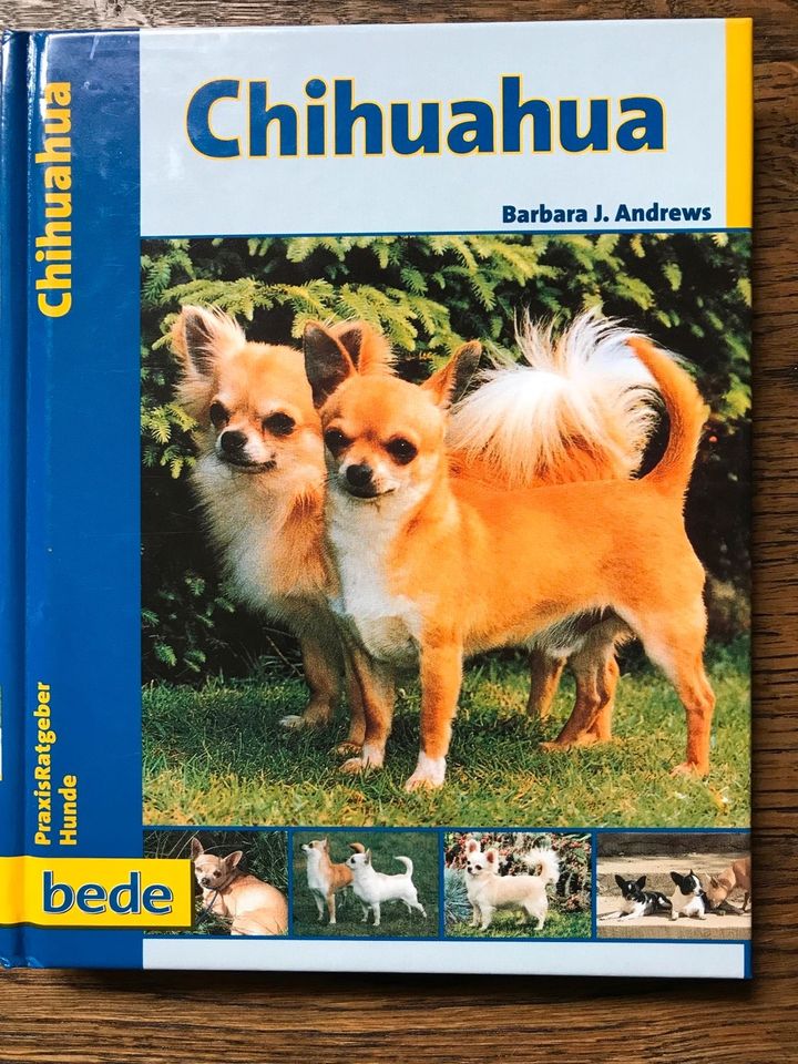 Chihuahua, Zwei Bücher, Ratgeber incl. Versandgeb. in Harpstedt