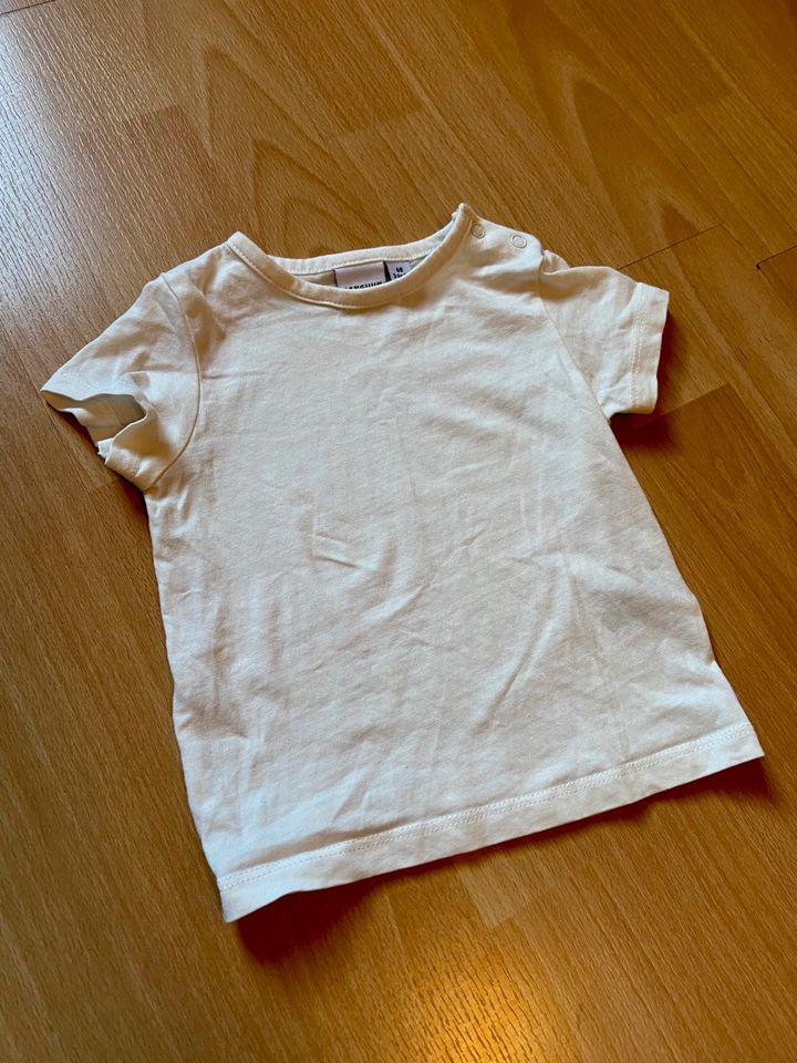 Sommerset Kurzlatzhose+T-Shirt Gr. 68 von Mangan in Nürnberg (Mittelfr)