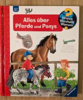 Wieso weshalb warum Alles über Pferde und Ponys Hessen - Kalbach Vorschau